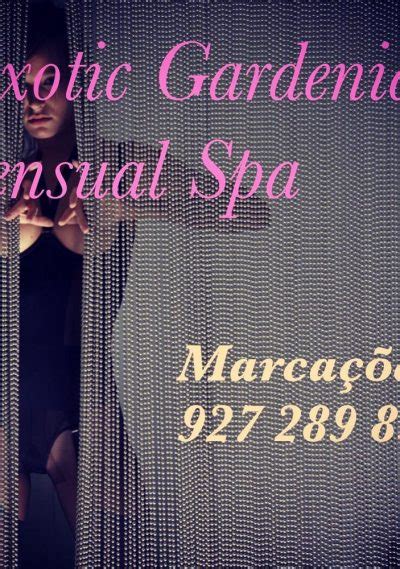Erotic massage Porto Uniao