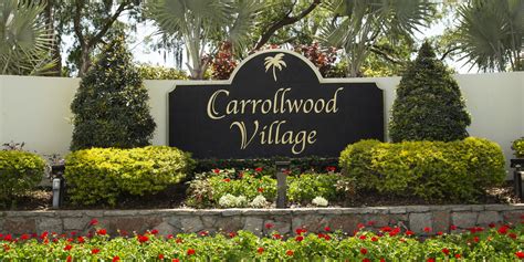 Prostitute Carrollwood Village